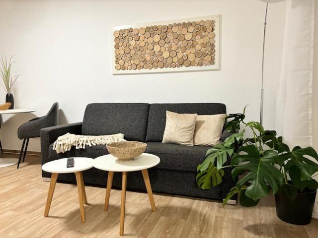 Charming Homes - Studio 10 ولفسبورج المظهر الخارجي الصورة